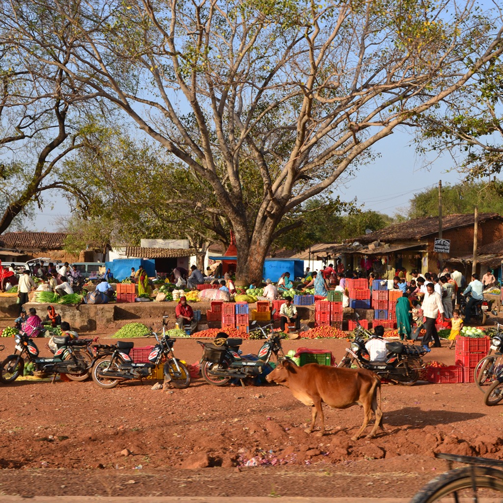 Photo of market