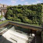 Photo of vertical garden by G Smith